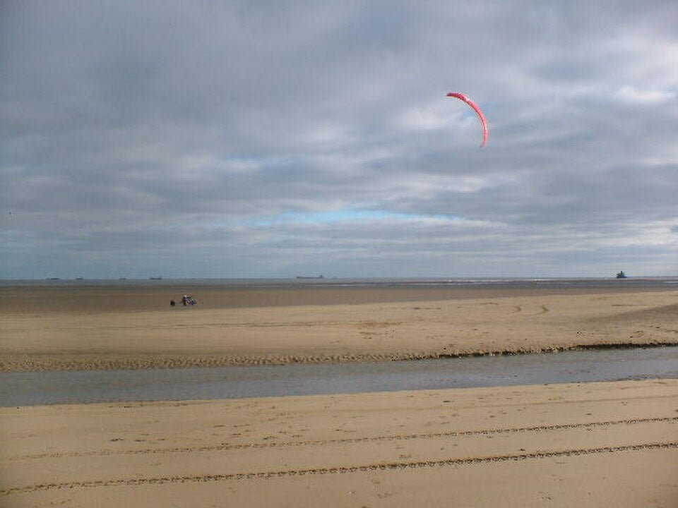 Beach Wagons That Roll on Soft Sand (Not Just Pavement)
